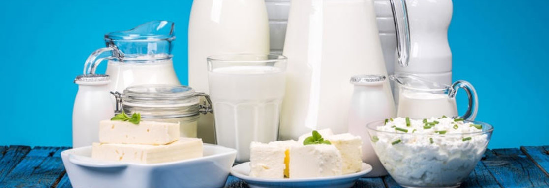  MARKETING OF DAIRY PRODUCT AND INGREDIENTS